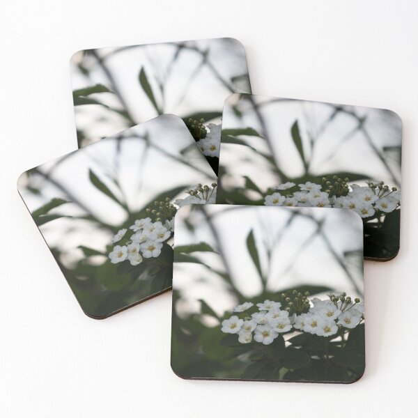 Item preview, Florecer designed and sold by Calidris Fotografie Steffi & Ben Köppler.