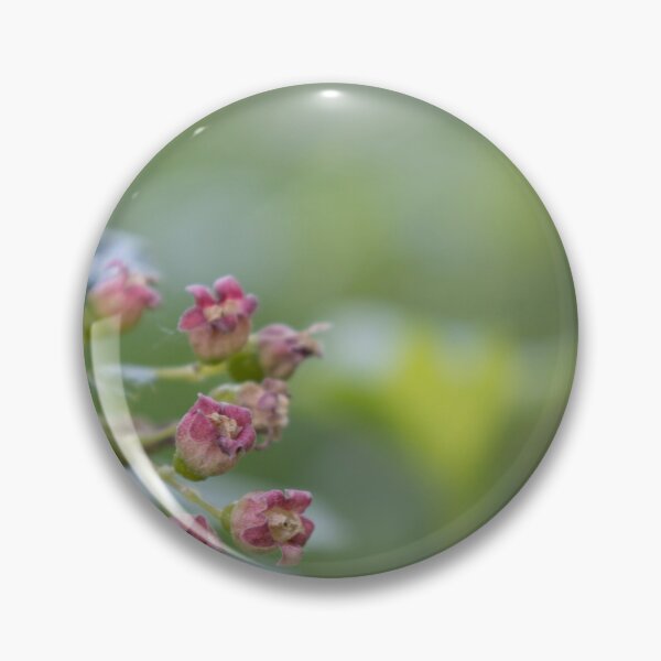 Item preview, Blackcurrant designed and sold by Calidris Fotografie Steffi & Ben Köppler.