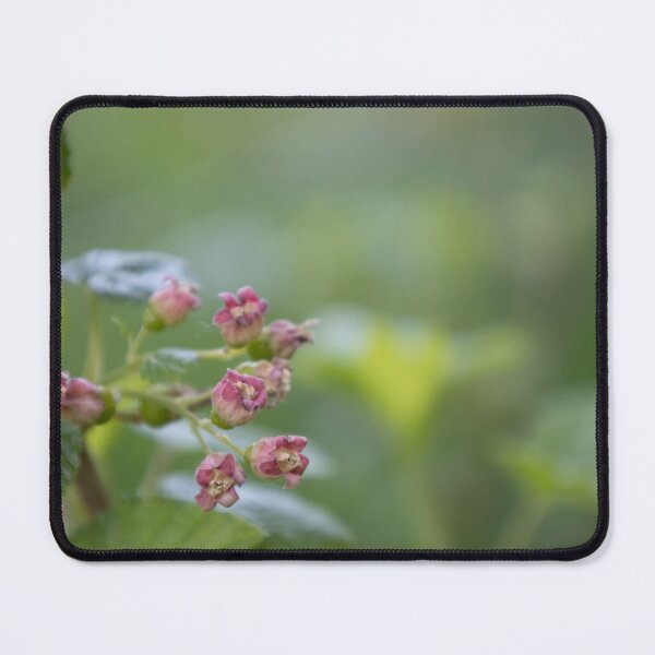 Item preview, Blackcurrant designed and sold by Calidris Fotografie Steffi & Ben Köppler.