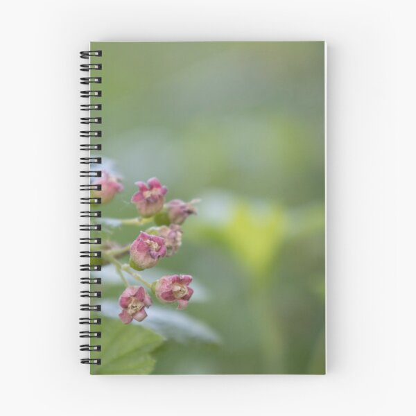 Item preview, Blackcurrant designed and sold by Calidris Fotografie Steffi & Ben Köppler.