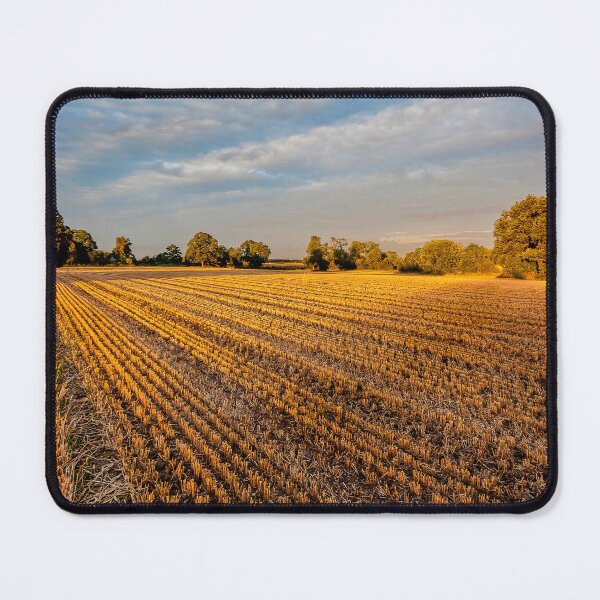 Item preview, After The Harvest designed and sold by mhfore.