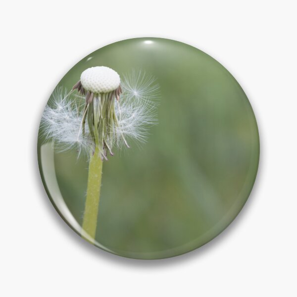 Item preview, Blowball designed and sold by Calidris Fotografie Steffi & Ben Köppler.