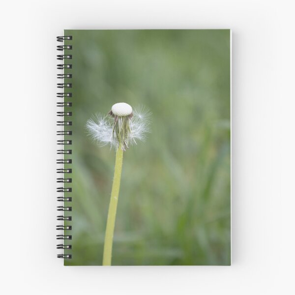 Item preview, Blowball designed and sold by Calidris Fotografie Steffi & Ben Köppler.
