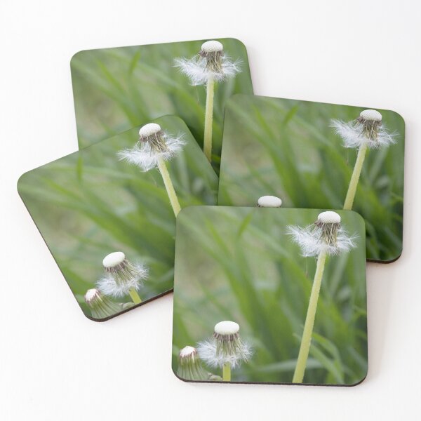Item preview, Blowballs designed and sold by Calidris Fotografie Steffi & Ben Köppler.