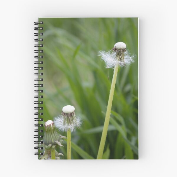Item preview, Blowballs designed and sold by Calidris Fotografie Steffi & Ben Köppler.