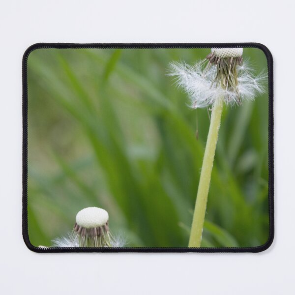 Item preview, Blowballs designed and sold by Calidris Fotografie Steffi & Ben Köppler.