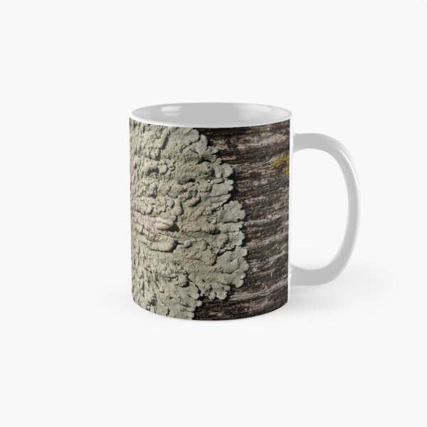 Item preview, Lichen designed and sold by Calidris Fotografie Steffi & Ben Köppler.