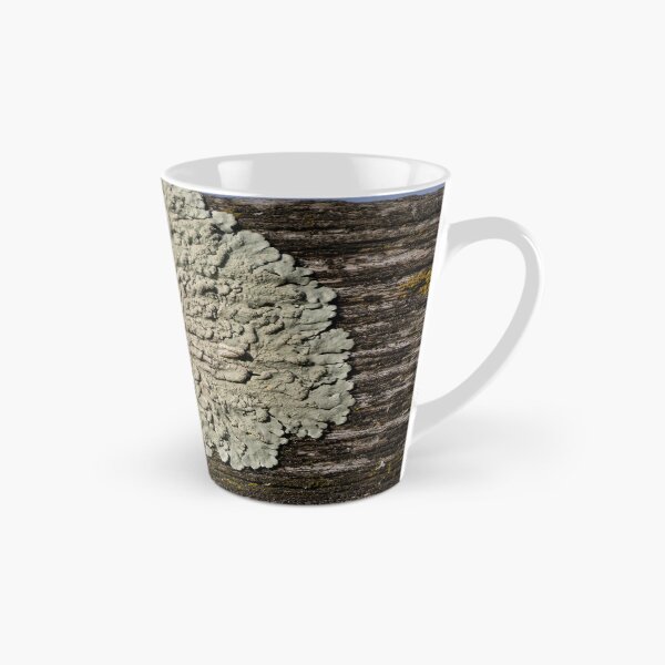 Item preview, Lichen designed and sold by Calidris Fotografie Steffi & Ben Köppler.