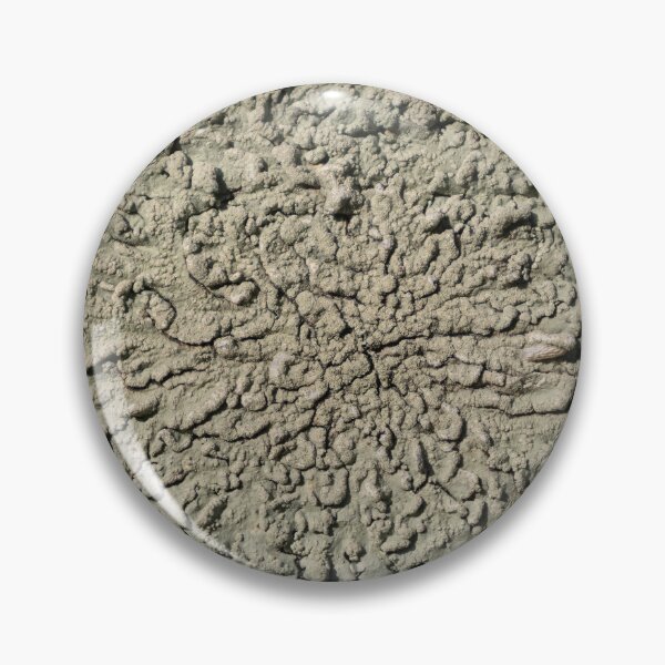 Item preview, Lichen designed and sold by Calidris Fotografie Steffi & Ben Köppler.