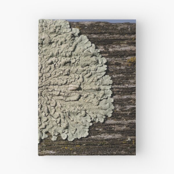 Item preview, Lichen designed and sold by Calidris Fotografie Steffi & Ben Köppler.