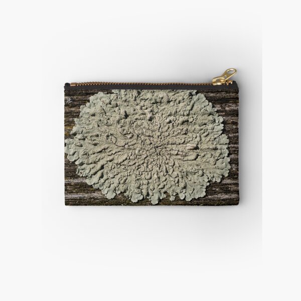 Item preview, Lichen designed and sold by Calidris Fotografie Steffi & Ben Köppler.