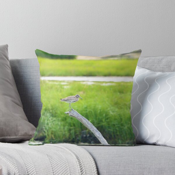 Item preview, Willet designed and sold by Nature's Reflections.