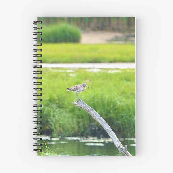 Item preview, Willet designed and sold by Nature's Reflections.