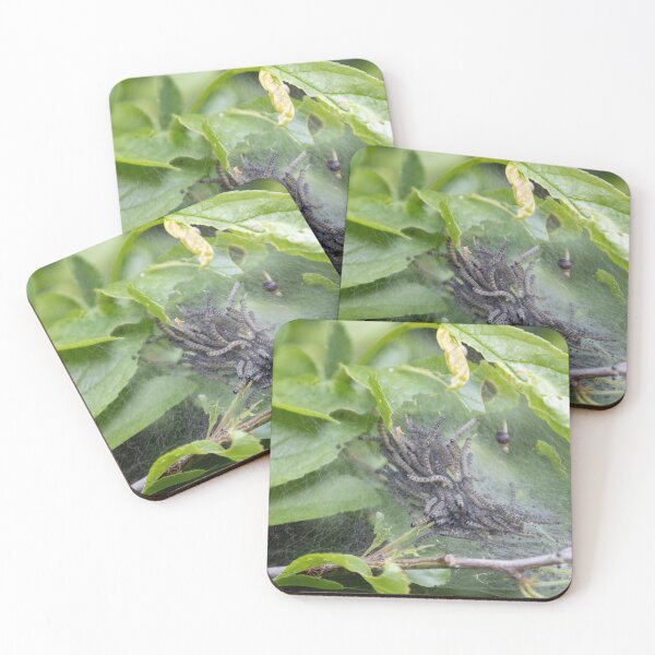 Item preview, Caterpillars designed and sold by Calidris Fotografie Steffi & Ben Köppler.