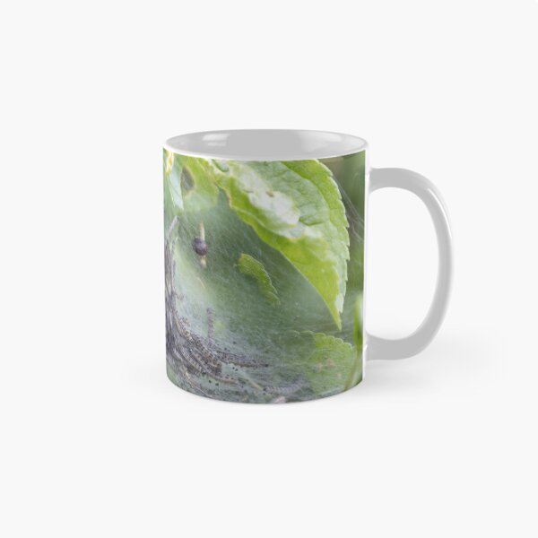 Item preview, Caterpillars designed and sold by Calidris Fotografie Steffi & Ben Köppler.
