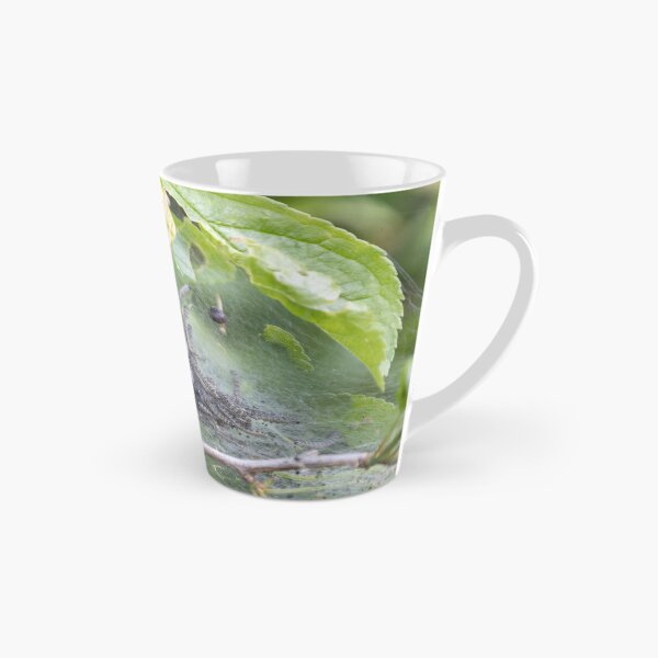 Item preview, Caterpillars designed and sold by Calidris Fotografie Steffi & Ben Köppler.
