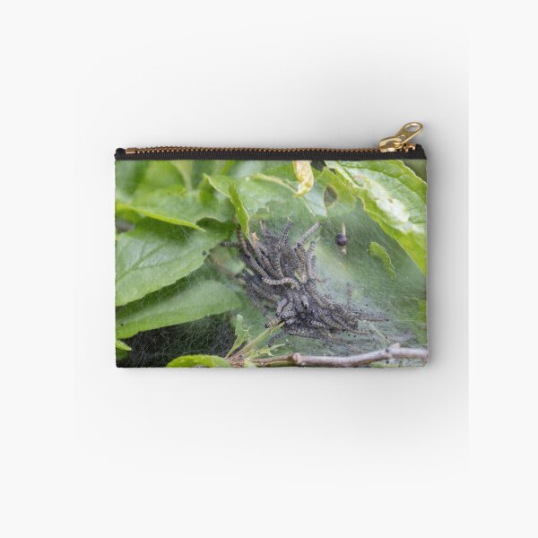 Item preview, Caterpillars designed and sold by Calidris Fotografie Steffi & Ben Köppler.
