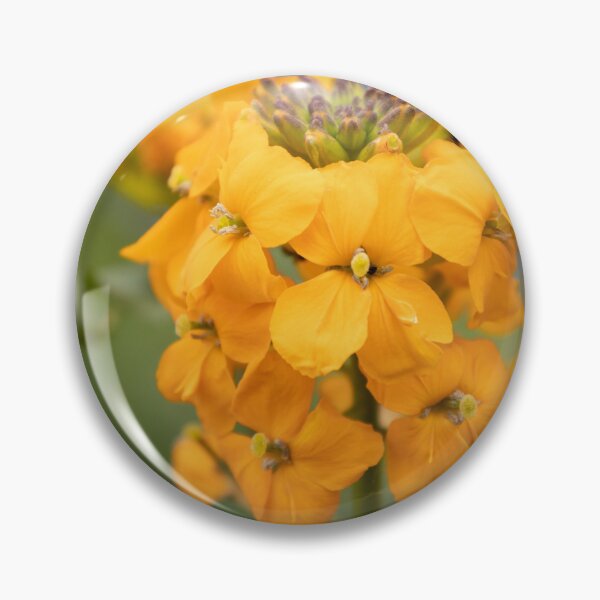 Item preview, Wallflower designed and sold by Calidris Fotografie Steffi & Ben Köppler.