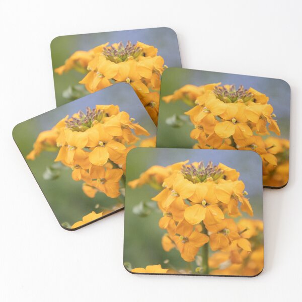 Item preview, Wallflower designed and sold by Calidris Fotografie Steffi & Ben Köppler.