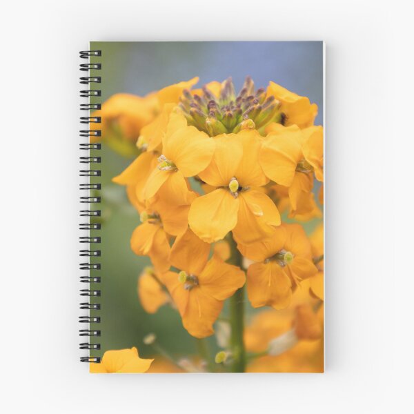 Item preview, Wallflower designed and sold by Calidris Fotografie Steffi & Ben Köppler.