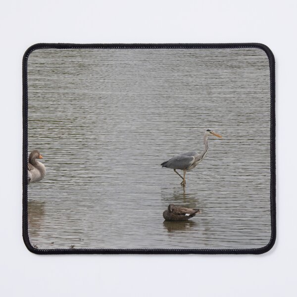 Item preview, Grey Heron and Greylag Goose designed and sold by Calidris Fotografie Steffi & Ben Köppler.