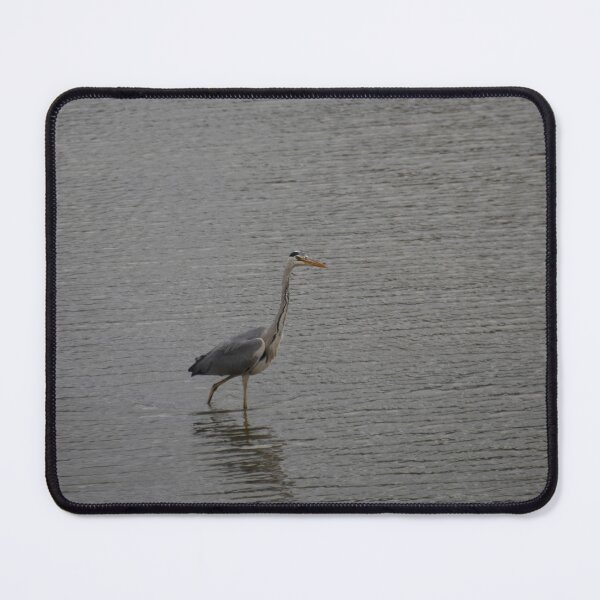 Item preview, Grey Heron designed and sold by Calidris Fotografie Steffi & Ben Köppler.