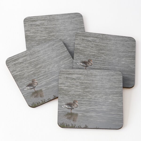 Item preview, Greylag Goose designed and sold by Calidris Fotografie Steffi & Ben Köppler.