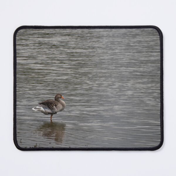 Item preview, Greylag Goose designed and sold by Calidris Fotografie Steffi & Ben Köppler.