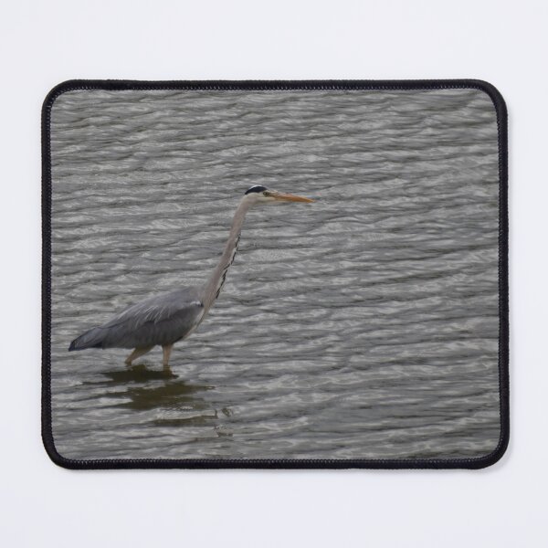 Item preview, Grey Heron designed and sold by Calidris Fotografie Steffi & Ben Köppler.