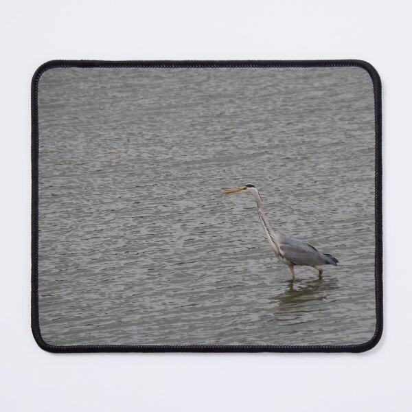 Item preview, Grey Heron designed and sold by Calidris Fotografie Steffi & Ben Köppler.