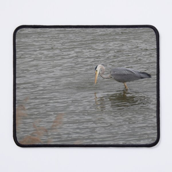 Item preview, Grey Heron designed and sold by Calidris Fotografie Steffi & Ben Köppler.