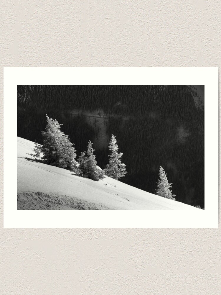 Alternate view of Enjoying The Sunshine Art Print