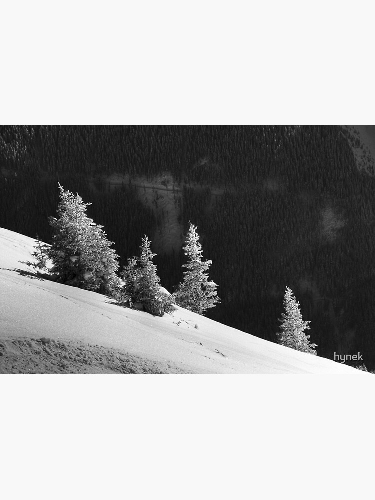 Enjoying The Sunshine by hynek