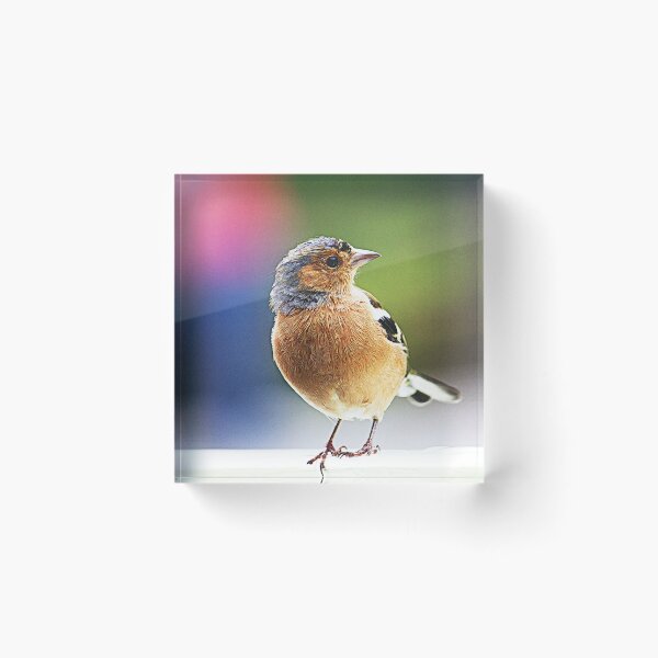 Item preview, Robin  designed and sold by Blue  Robin.