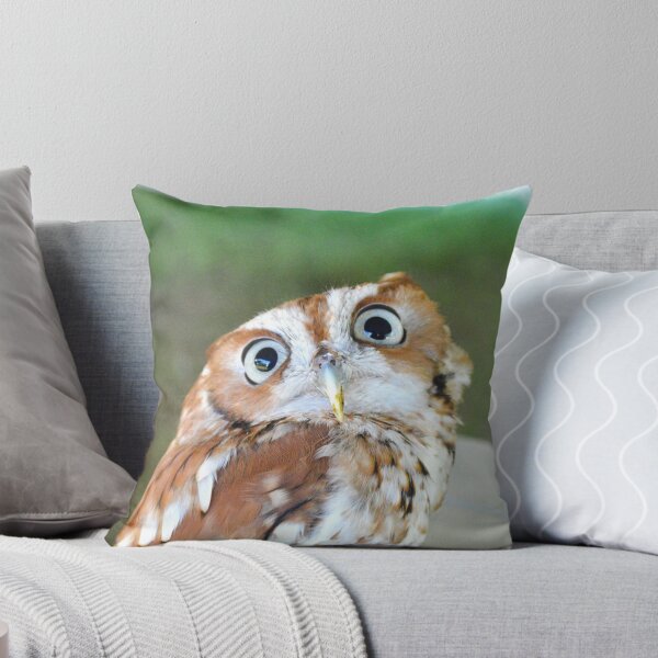 Aperçu de l'œuvre Coucher de soleil le hibou Screech créée et vendue par Nature's Reflections.