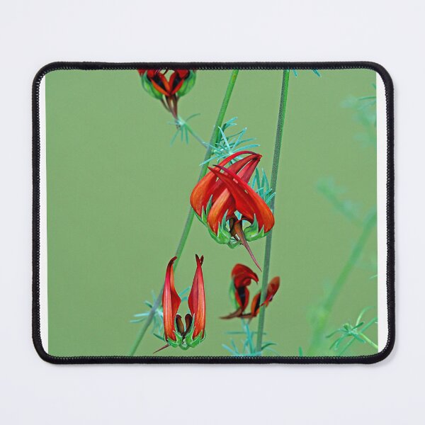 Item preview, Flower Composition designed and sold by JoyPhotoArt.