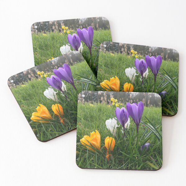 Item preview, Spring Crocuses designed and sold by TapokaM.