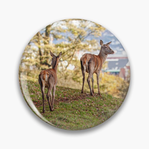 Item preview, A walk in the park designed and sold by Dalyndigital Photography.