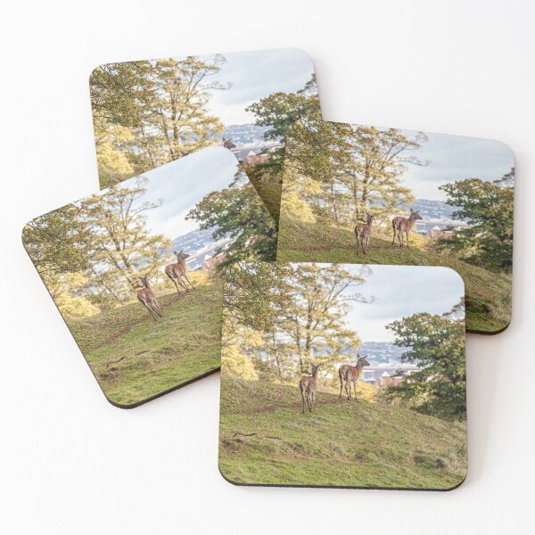 Item preview, A walk in the park designed and sold by Dalyndigital Photography.