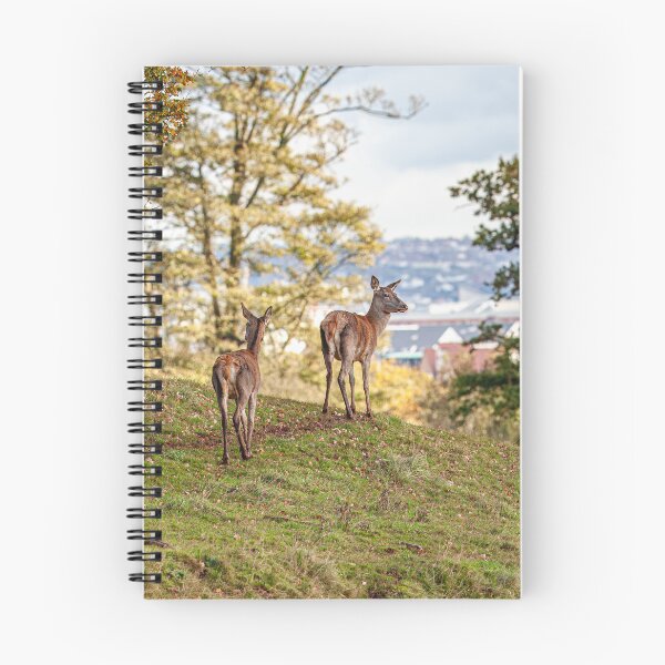 Item preview, A walk in the park designed and sold by Dalyndigital Photography.