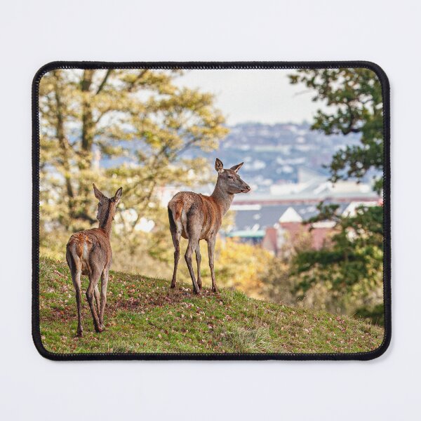 Item preview, A walk in the park designed and sold by Dalyndigital Photography.