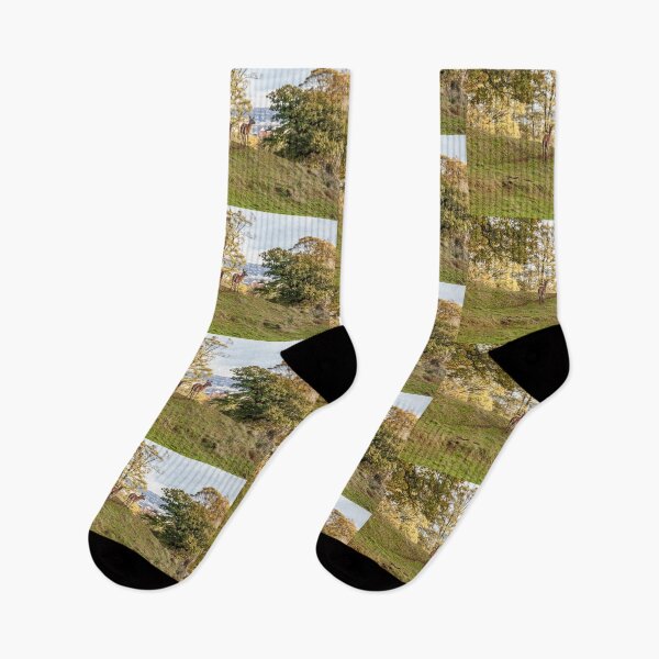 Item preview, A walk in the park designed and sold by Dalyndigital Photography.