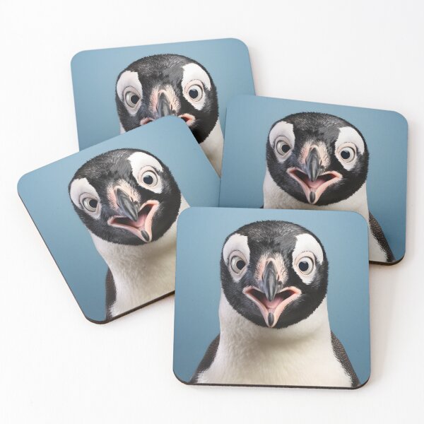 Item preview, Penguin's endearing gaze designed and sold by tokyojeff.