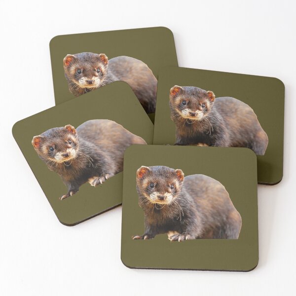 Item preview, Polecat Ferret designed and sold by Dalyndigital Photography.