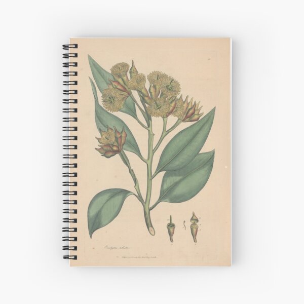 Botanical illustration: Eucalyptus robusta – State Library Victoria Spiral Notebook