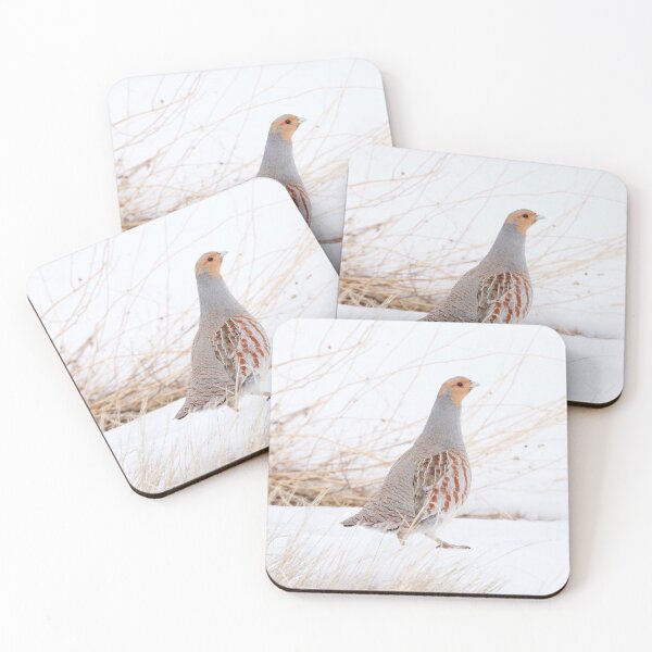 Item preview, Grey Partridge designed and sold by Alyce Taylor.