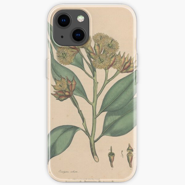 Botanical illustration: Eucalyptus robusta – State Library Victoria iPhone Soft Case