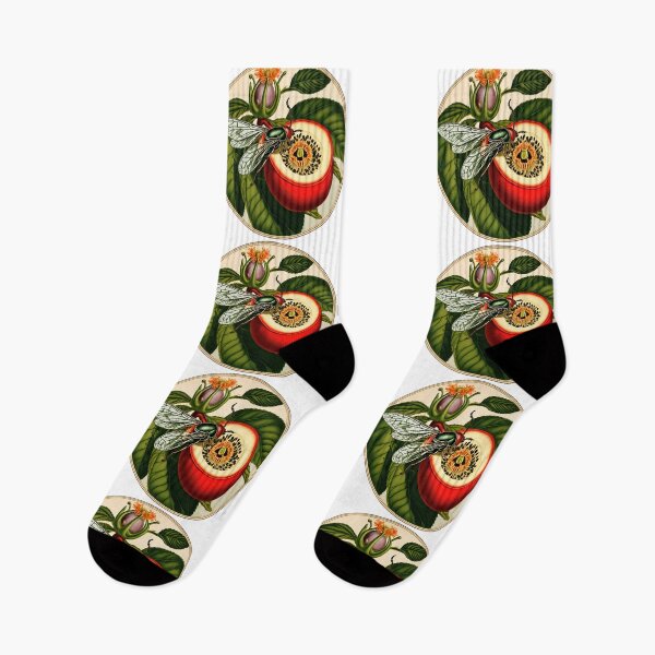 Item preview, The Cicada beetle sits on the passion fruit flowe designed and sold by marccelusshop.