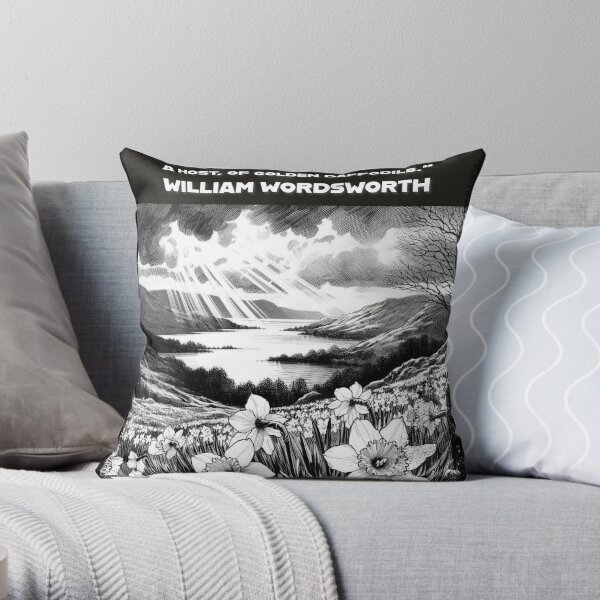 https://ih1.redbubble.net/image.5378594776.1891/throwpillow,small,600x-bg,f8f8f8-c,0,120,600,600.jpg