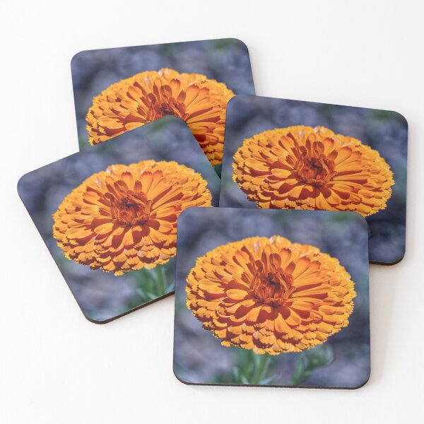 Item preview, Calendula Officinalis - Marigold - English Gardens designed and sold by LucaRocchini.